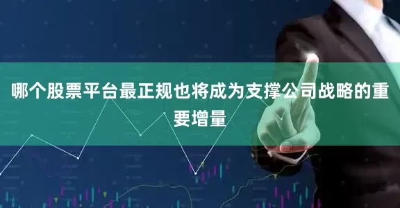 哪个股票平台最正规也将成为支撑公司战略的重要增量